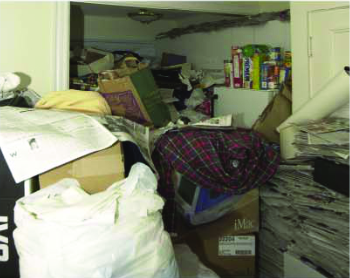 Bild för alternativ nummer 8