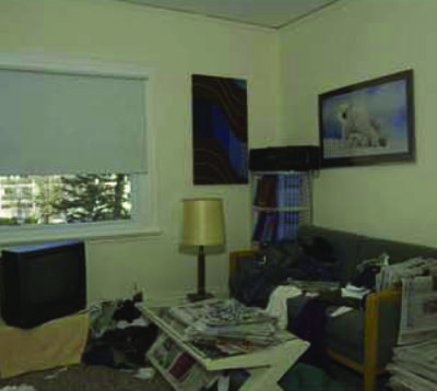 Bild för alternativ nummer 2