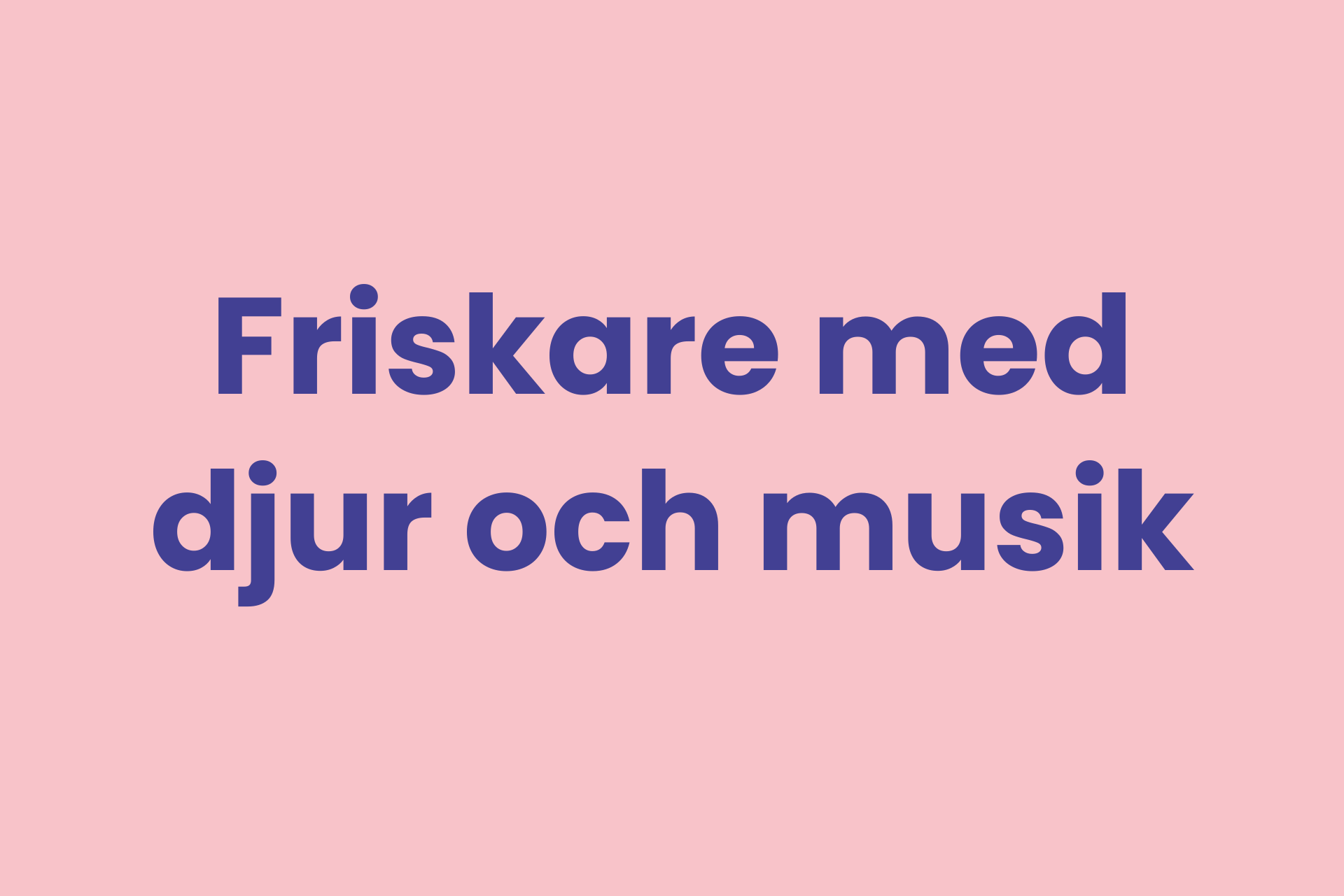 Aktiviteter: Friskare med djur och musik